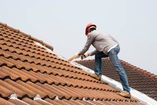 Best Roof Inspection  in Dora, AL